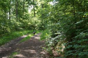 Training 24.05.2020 – Bechlingen 167